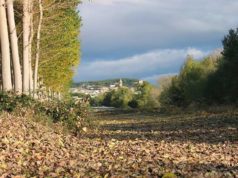 Milagro busca desarrollar un turismo sostenible, cultural y de naturaleza Milagro