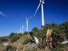 Ecologistas en Acción denuncian datos falsos en la repotenciación del Parque Eólico de Montes de Cierzo Ecologistas Parque Montes de Cierzo