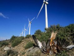 Ecologistas Parque Montes de Cierzo