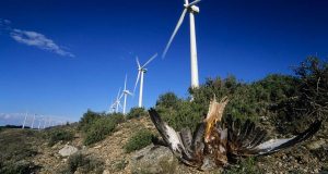 Ecologistas Parque Montes de Cierzo