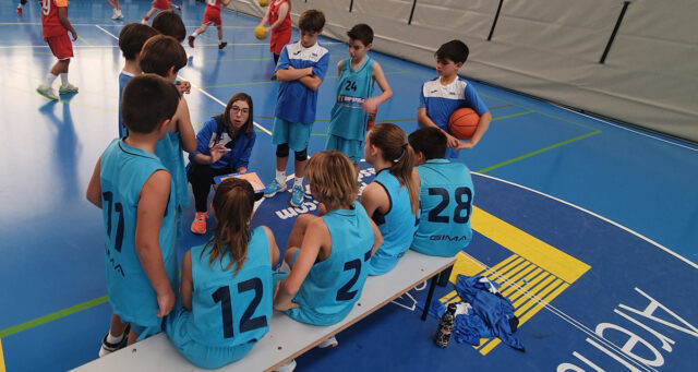 Baloncesto Arenas