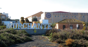 Murchante cuenta con un pasado y u presente marcados por la viticultura y la gastronomía