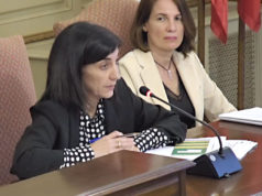 La concejal de Cultura, Merche Añón, durante su intervención ante el pleno