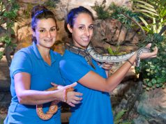 Un ‘Mundo Zoorprendente’ mucho más animal en Sendaviva