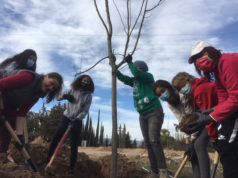 Nueva arboleda en el entorno de El Villar en Corella Voluntarios que ayudaron a hacer realidad la nueva arboleda en El Villar