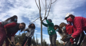 Voluntarios que ayudaron a hacer realidad la nueva arboleda en El Villar