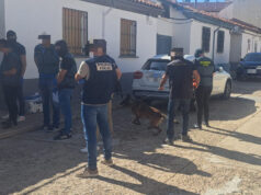 Desarticulado en la Ribera un grupo criminal dedicado presuntamente al tráfico de drogas tráfico de drogas