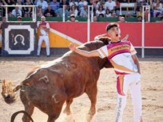 Pablo Saso Fornies: “Ser recortador me hace crecer mucho como persona y ser muy feliz”