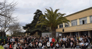 Premios a la Creación