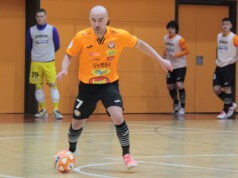 Pintinho Ribera Navarra