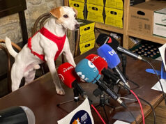 Navarra impulsa el turismo con mascotas turismo con mascotas Navarra