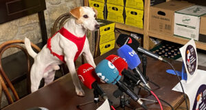 turismo con mascotas Navarra