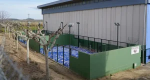 Pistas del pádel de Fitero