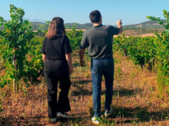El mejor vino D.O. Navarra, de Castejón vino D.O. Navarra