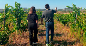 vino D.O. Navarra