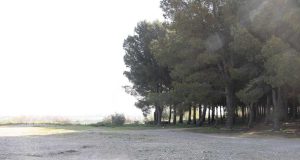 Ribaforada