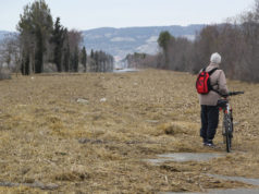 Riada e inundación en febrero de 2015 en Arguedas