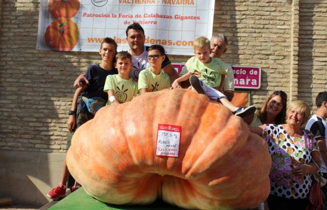Rubén-Mendi-y-familia-se-fotografian-con-la-calabaza-ganadora-en-la-X-feria-de-calabazas-gigantes-de-Valtierra