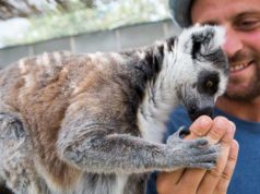 Sendaviva arranca su 19ª temporada llena de sorpresas y novedades Sendaviva