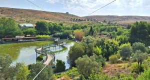 Puertos y Bosques Sendaviva