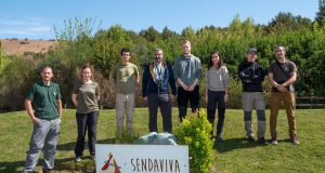 Sendaviva