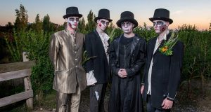 Halloween Sendaviva