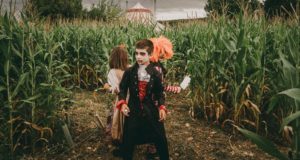 Halloween Sendaviva
