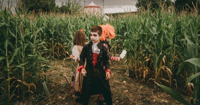 Halloween Sendaviva