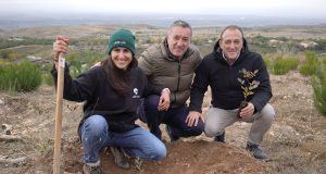 Puertos y Bosques Sendaviva