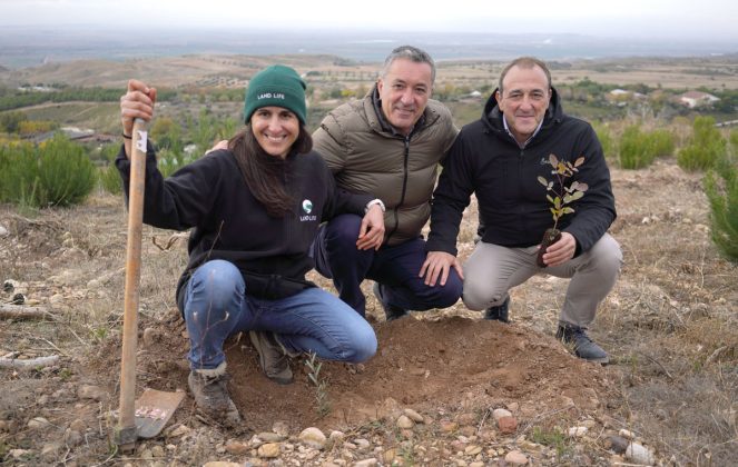 Puertos y Bosques Sendaviva