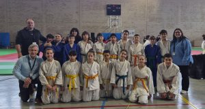 Judo Shogun