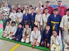 Judo Shogun