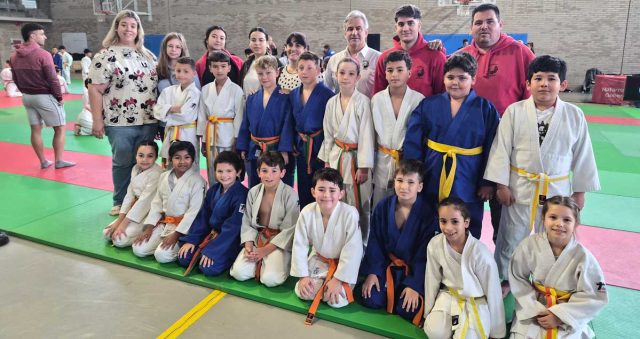 Judo Shogun