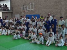 Judo Shogun