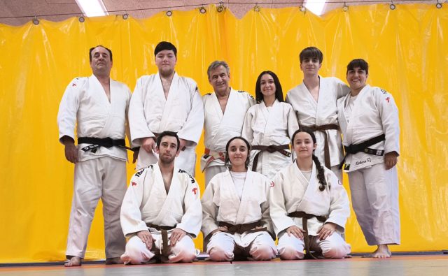 judo Shogun