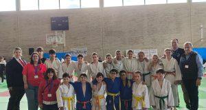 Judo Shogun