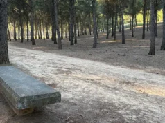 Tudela proyecta una red de corredores y sendas en Santa Quiteria