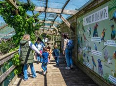 Sendaviva SendaNatura Paseos Naturalísticos