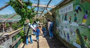 Sendaviva SendaNatura Paseos Naturalísticos