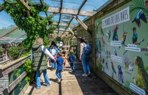 Sendaviva SendaNatura Paseos Naturalísticos