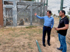 La muerte de un 1,5% de los animales y las afecciones en las zonas del “Bosque” y el “Pueblo”, principales daños en Sendaviva tras el incendio Sendaviva