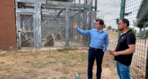 Sendaviva