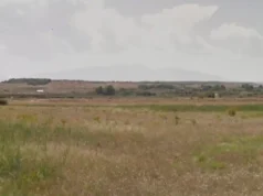 Una investigación abordará la historia vegetal del Valle del Queiles historia vegetal del Valle del Queiles