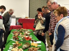 Mucho público y gran ambiente en las jornadas micológicas de Cascante