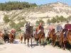 Arguedas Día Trashumancia