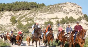 Arguedas Día Trashumancia