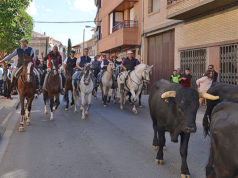 Trashumancia Corella 2017