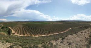 Urzante