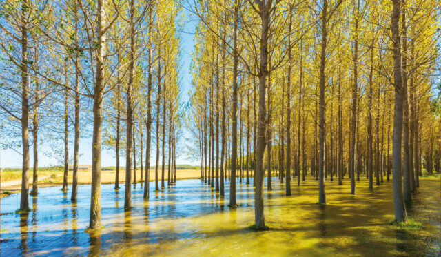 VALTIERRA-SOTOS-EBRO Valtierra