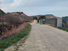 Más de 200 árboles para dar sombra al camino oeste de la Mejana